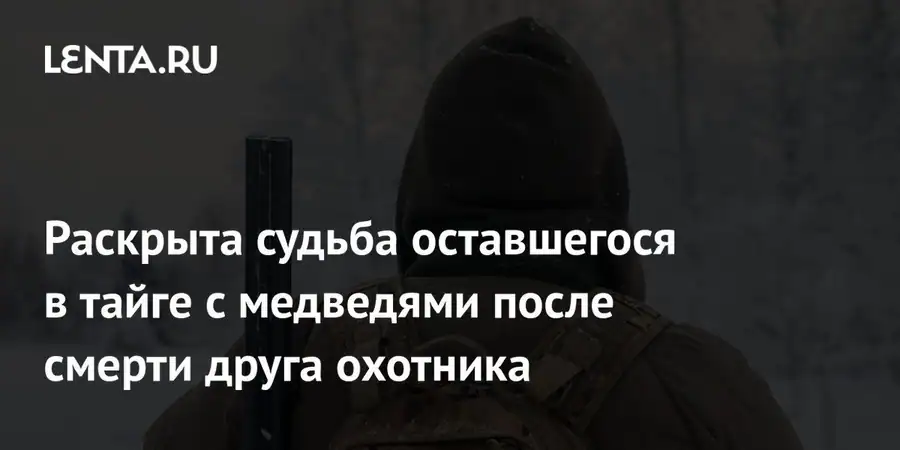 Охотник остался заблокированным в тайге Красноярского края после нападения медведя на напарника
