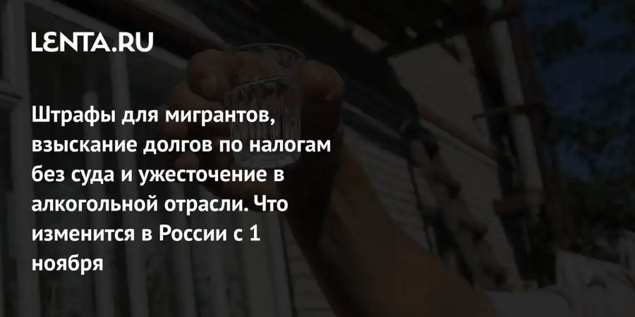 Штрафы для мигрантов, налоги и новые стандарты: что изменится в России в ноябре